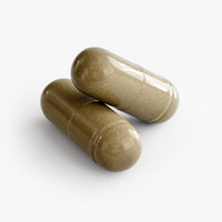 Ginkgo Biloba + Ginseng | Cognitive & Energy Boost Specialty Supplements SkillzAi