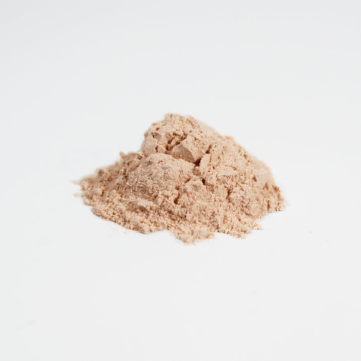 Fermented Mushroom Blend | Functional Wellness Formula Mushroom Products SkillzAi