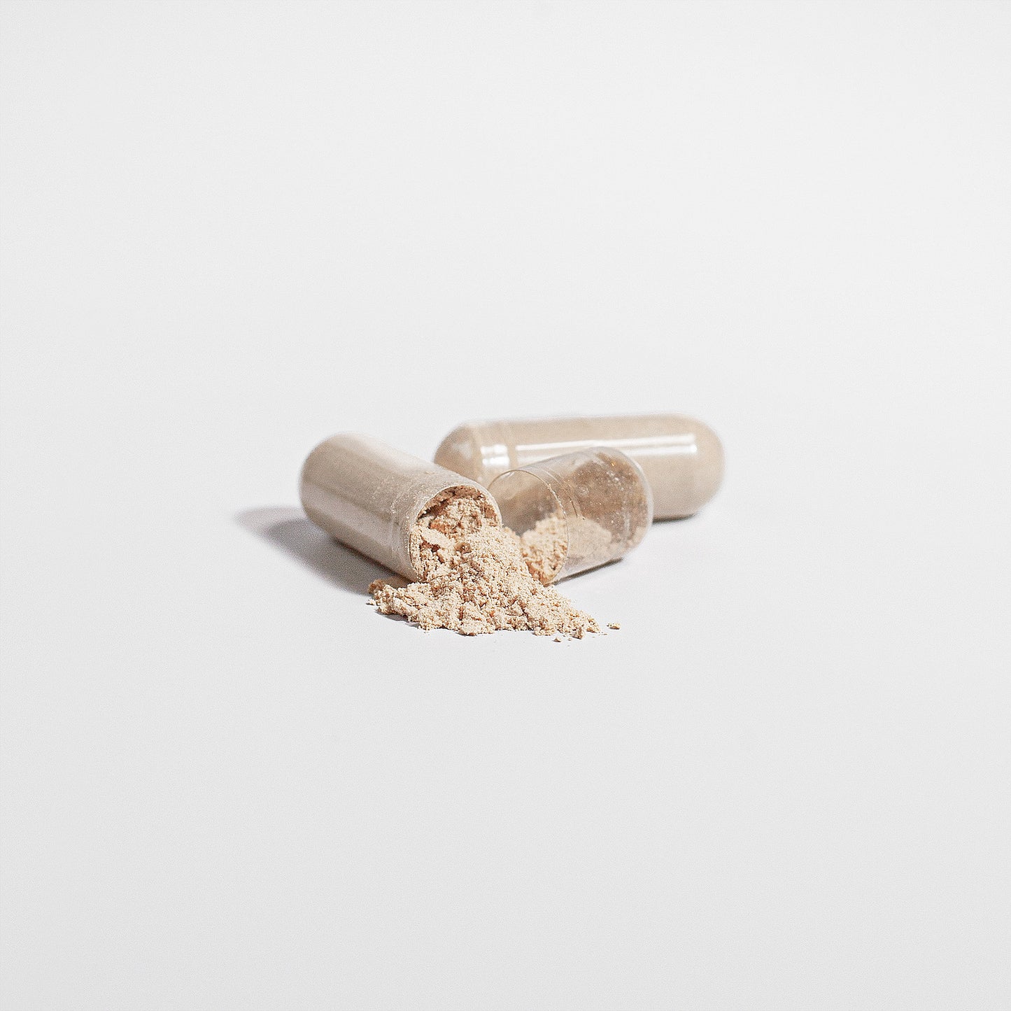 Lion’s Mane Mushroom | Cognitive & Focus Support Mushroom Products SkillzAi